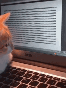 Orange and white cat pawing at a laptop keyboard